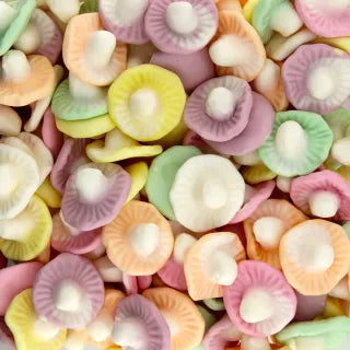 Mushroom Fruits